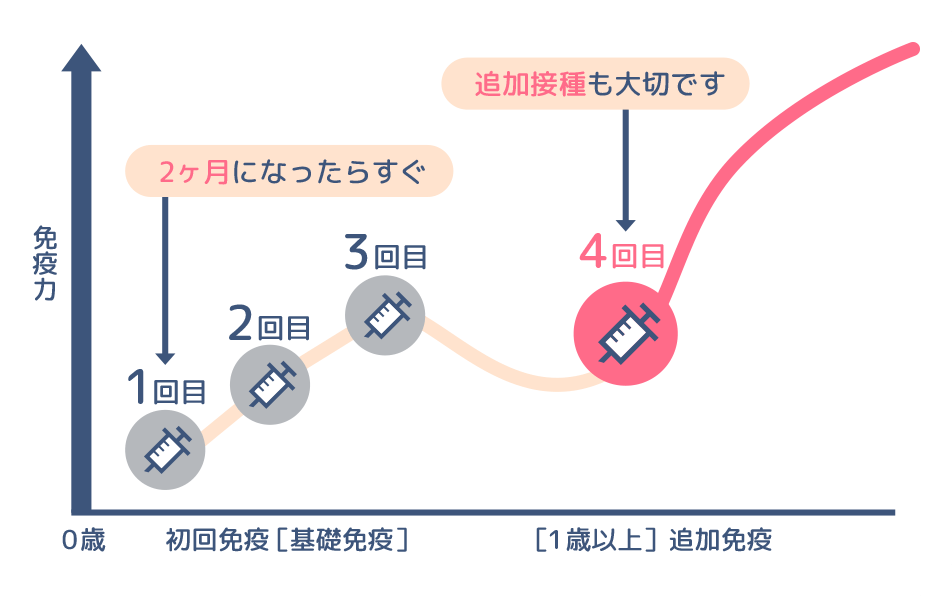 1歳時の追加接種を受けることで、免疫力が高まります。