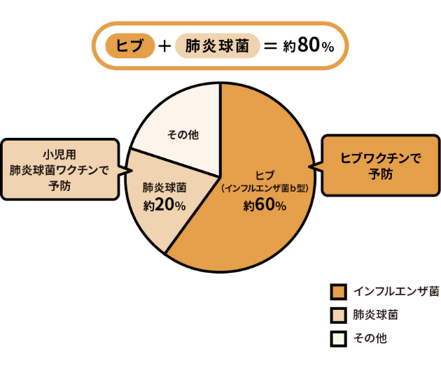 細菌性髄膜炎の原因